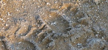 Tracks