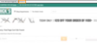 Dicks "Fedback" error
