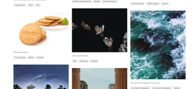 Images Search